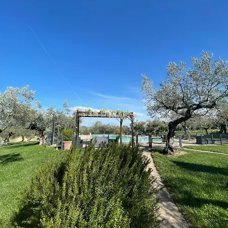 La Rustica Farm stay Pianella (Pescara)